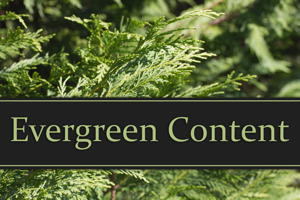 SEO Basics: Evergreen Content