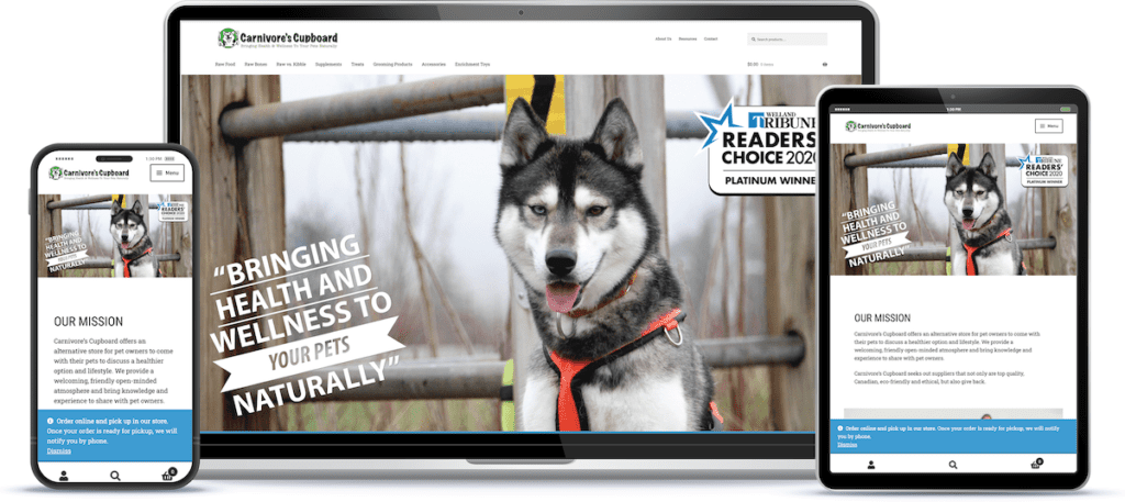 website design for online pet store
